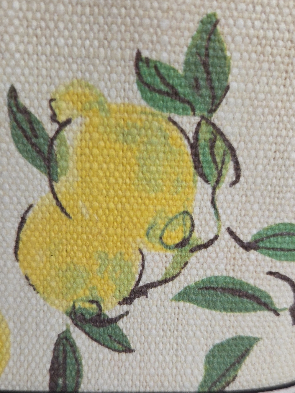 NWOT kate spade Cream Lemon-Print Crossbody - Picture 8 of 14